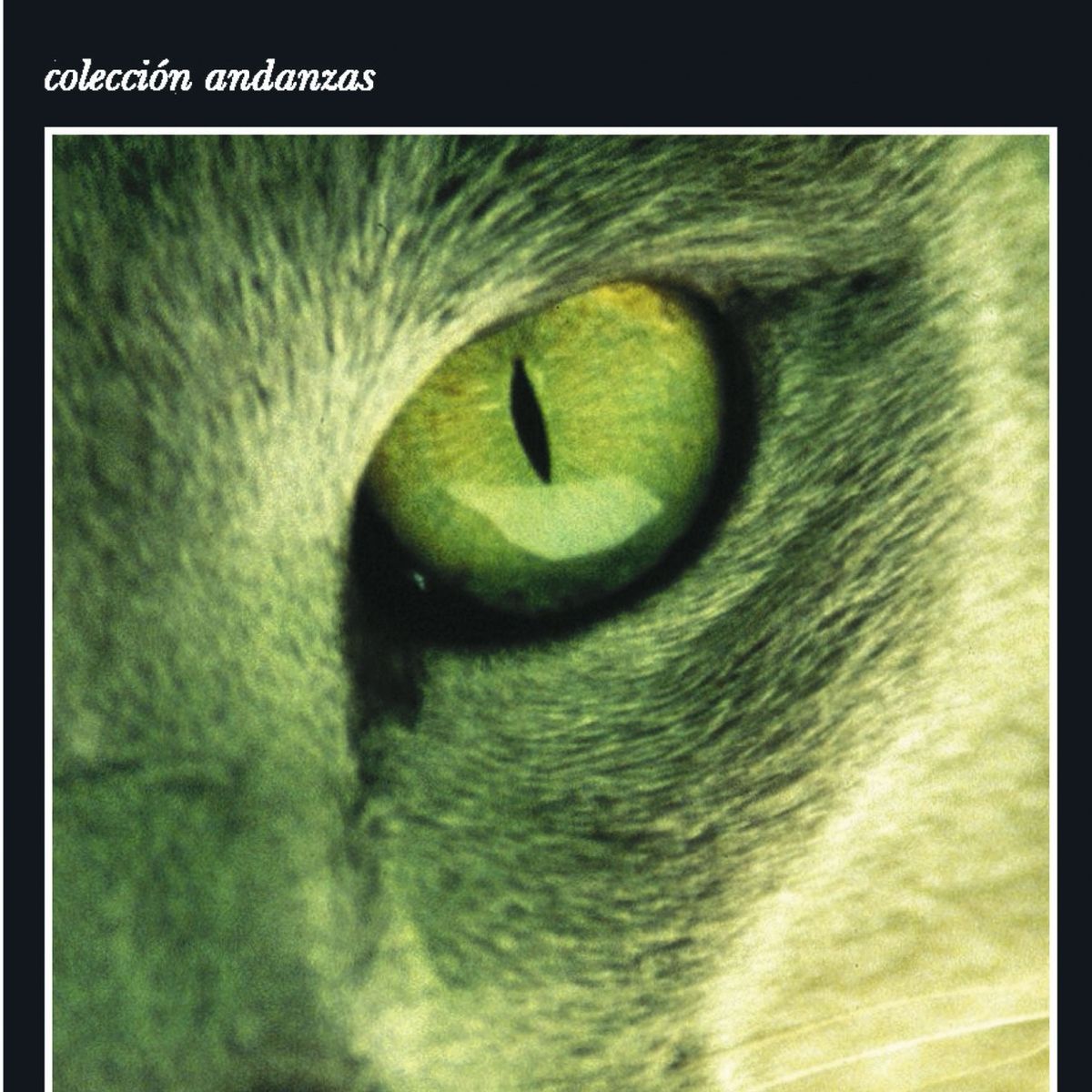 TUSQUETS - Libro Kafka en la orilla - Haruki Murakami