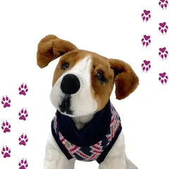 KIMBA - CHALECO MASCOTA – NEGRO TRAMA TALLA S