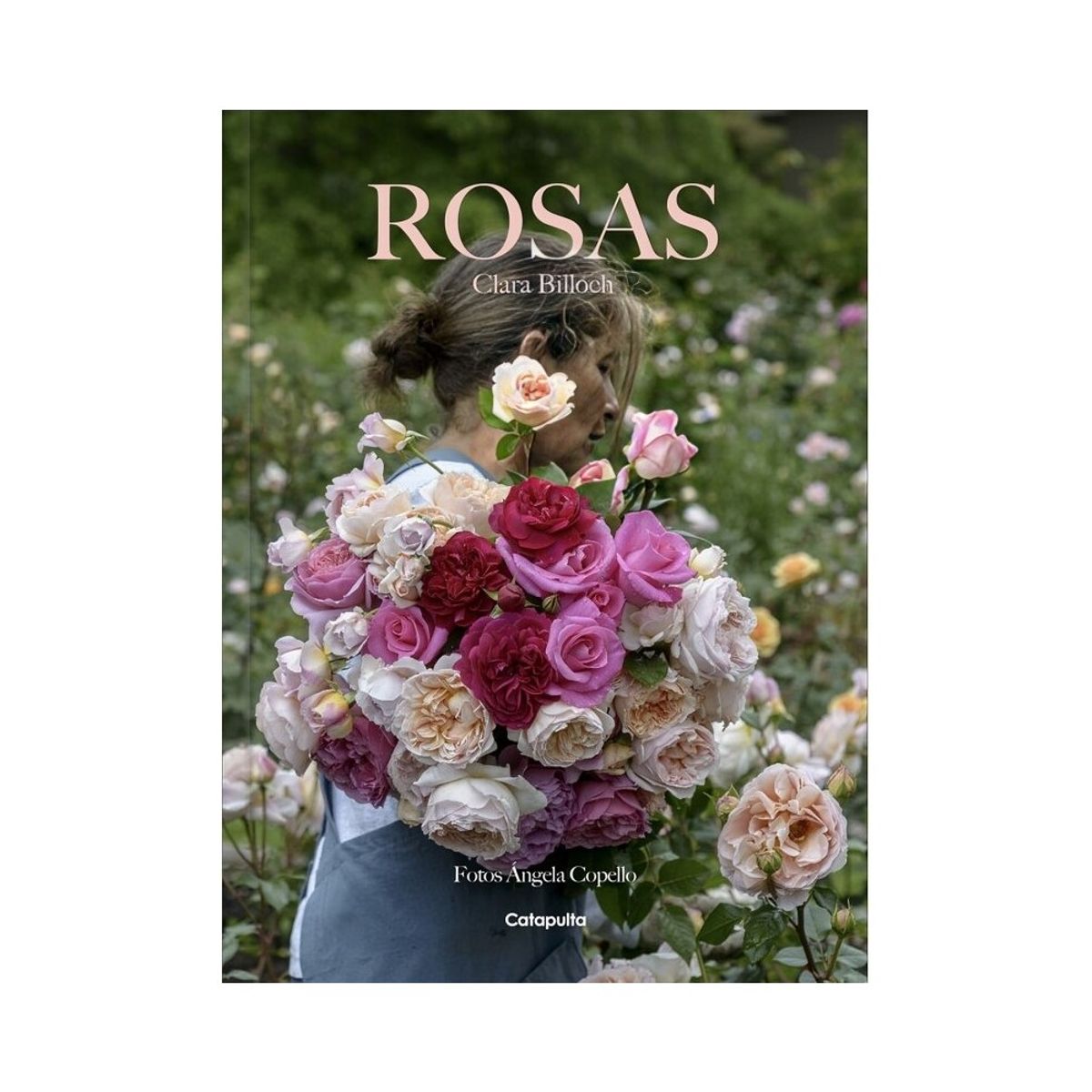 TOP10BOOKS - LIBRO Clara Billoch - Rosas - CLARA BILLOCH - ROSAS