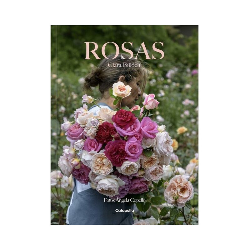 TOP10BOOKS - LIBRO CLARA BILLOCH - ROSAS / BILLOCH, CLARA / CATAPULTA