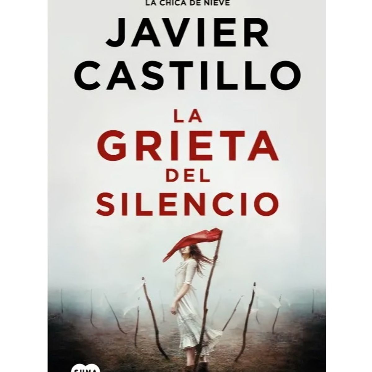 TOP10BOOKS - LIBRO La Grieta Del Silencio - La Grieta Del Silencio