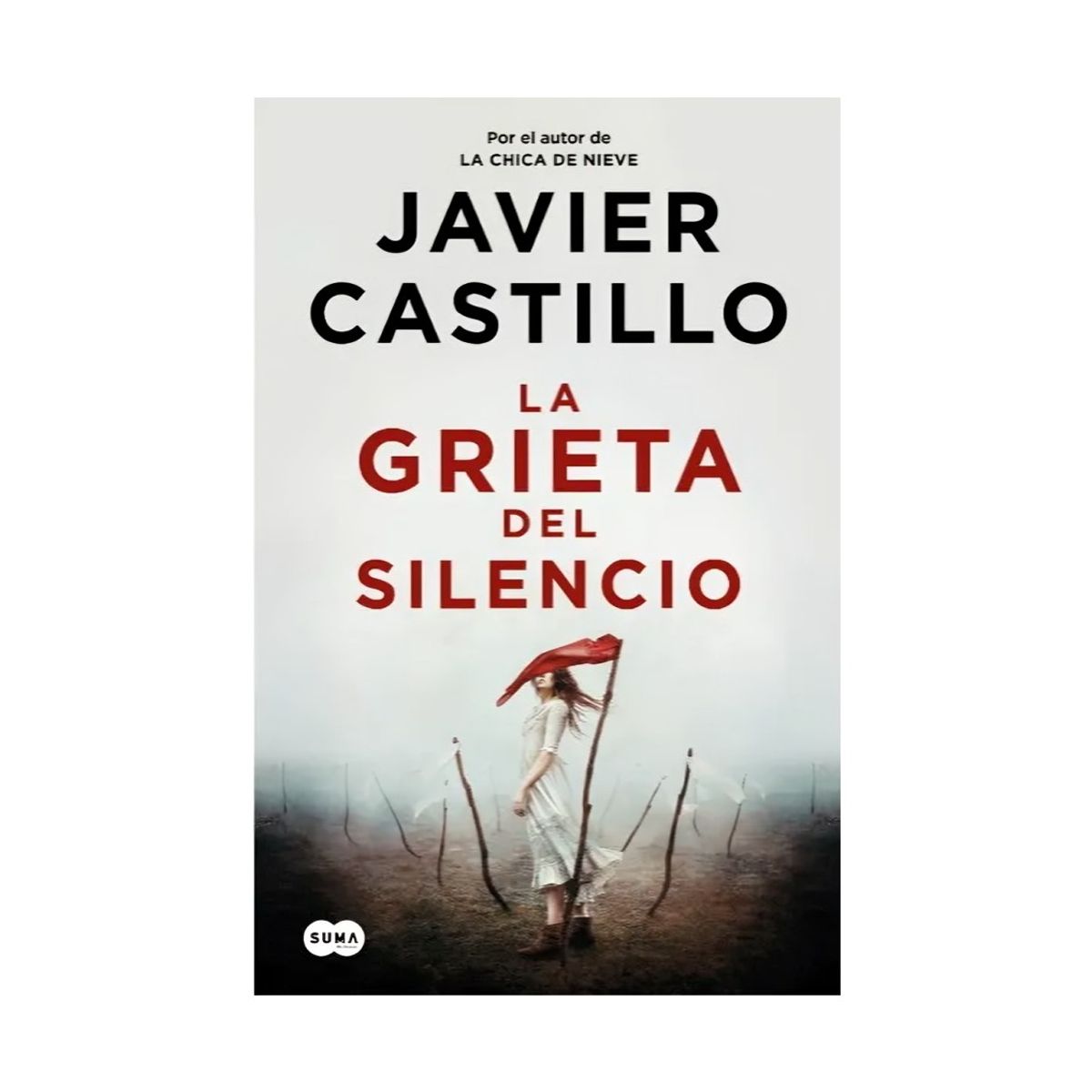 TOP10BOOKS - LIBRO La Grieta Del Silencio - La Grieta Del Silencio