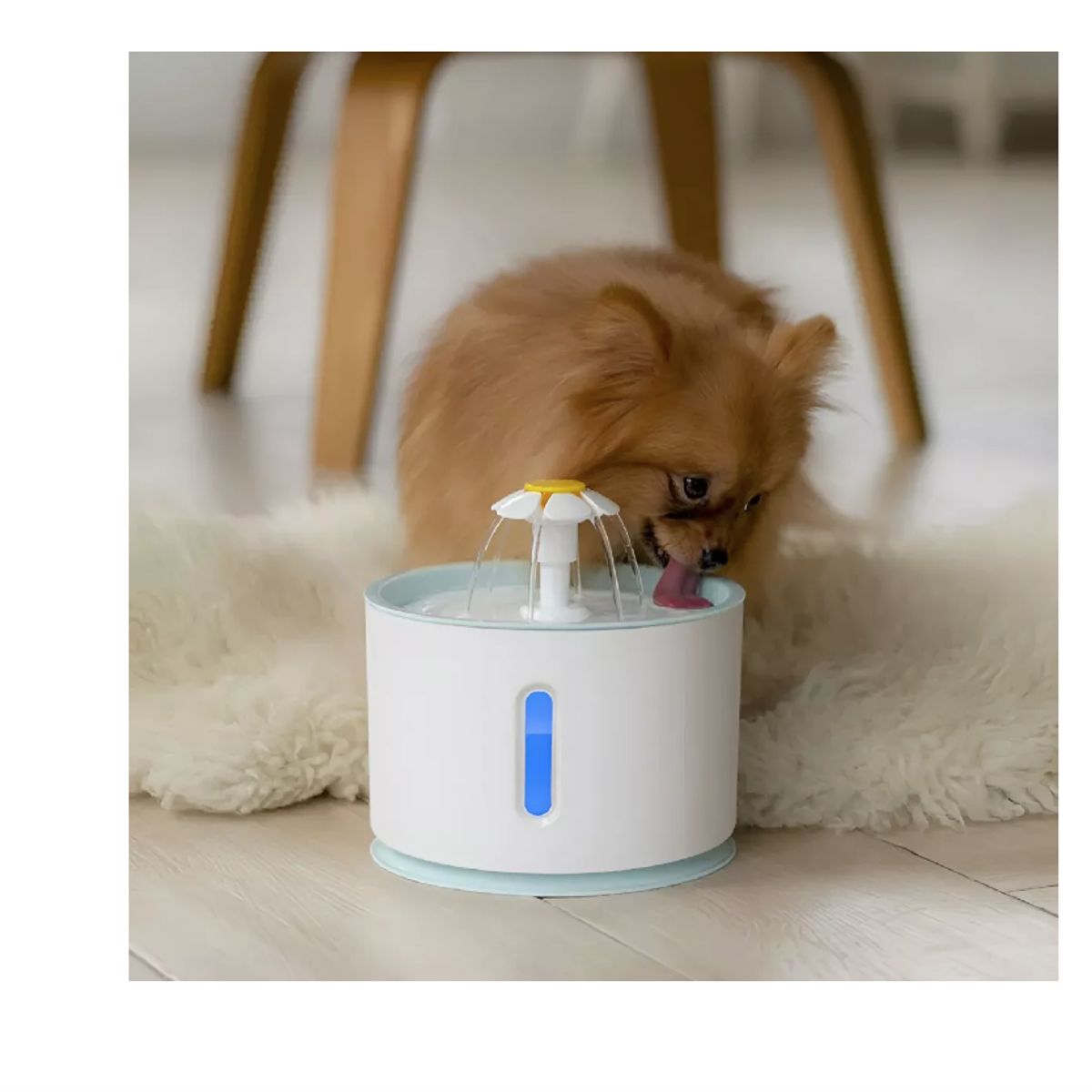 GENERICO - Bebedero Electrico Fuente Agua Gatos Perros + 5 Filtros Redo