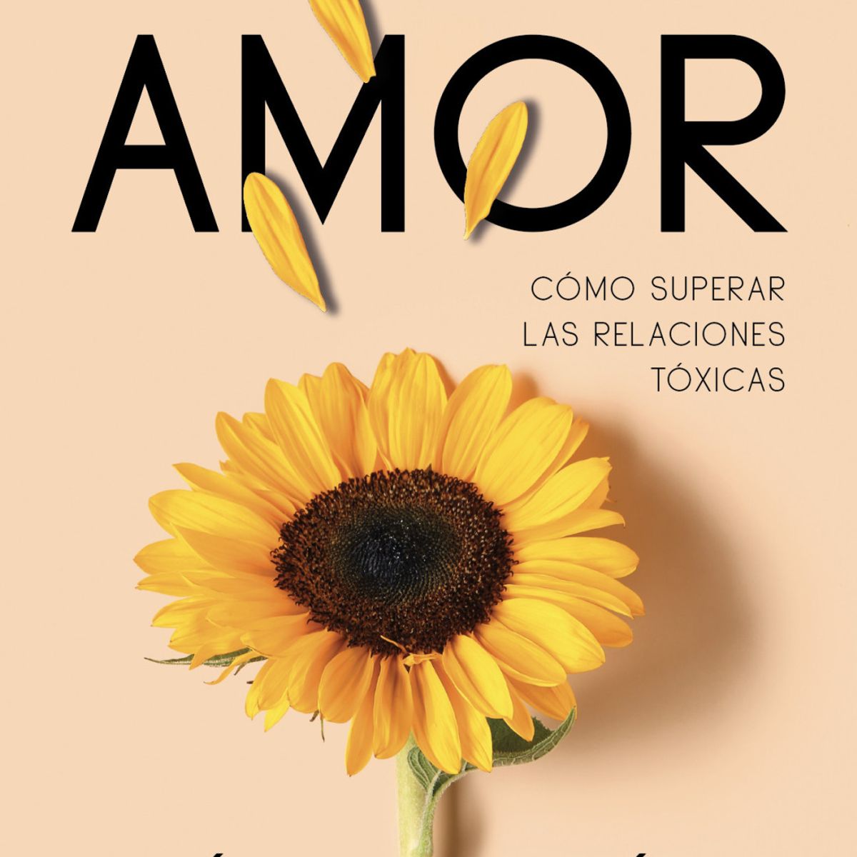 VERGARA - Libro Mi buen amor - Maria López