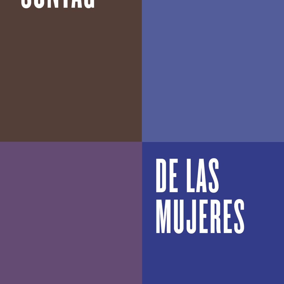 DEBATE - Libro De las mujeres - Susan Sontag