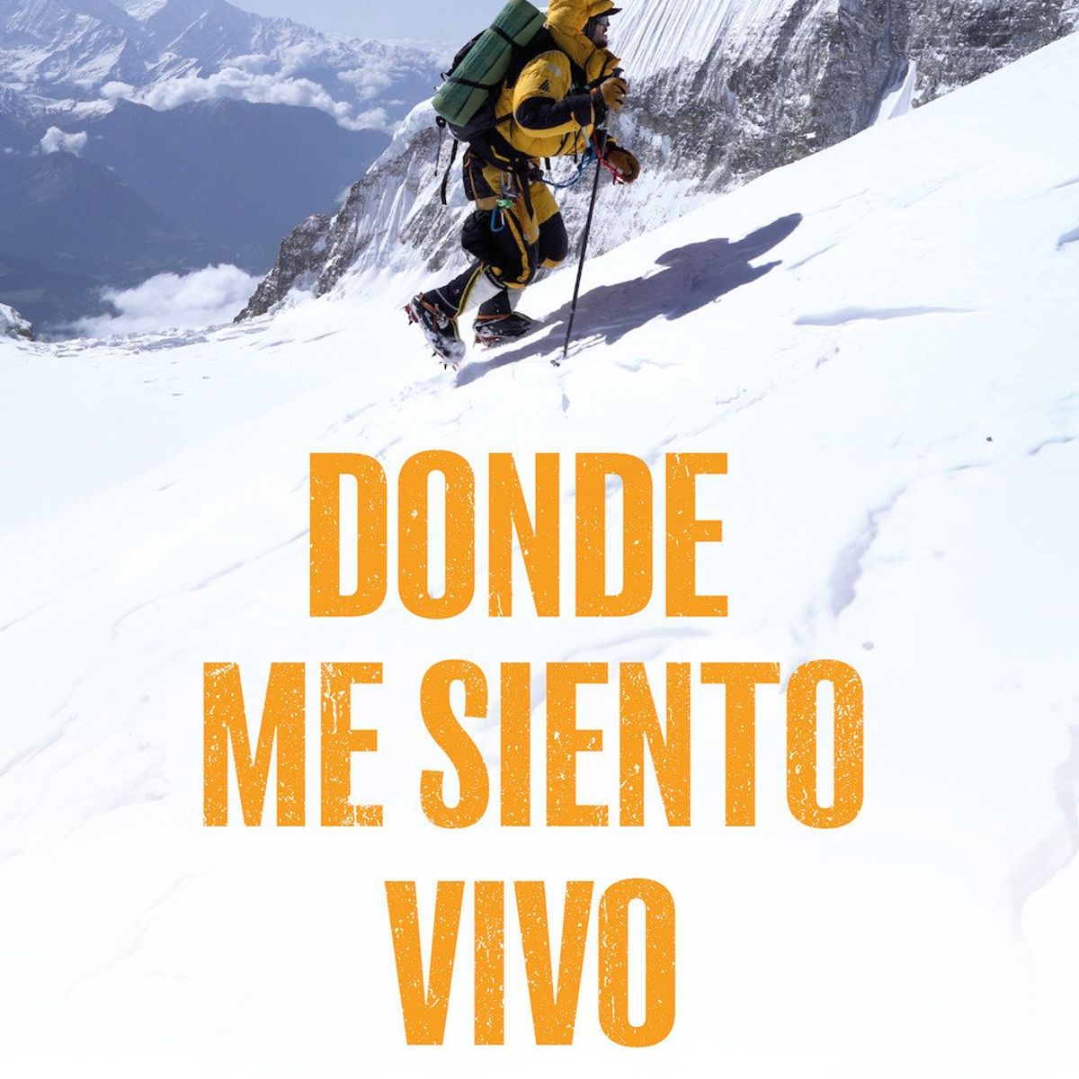 PLANETA - Libro Donde me siento vivo - Matías Rivas