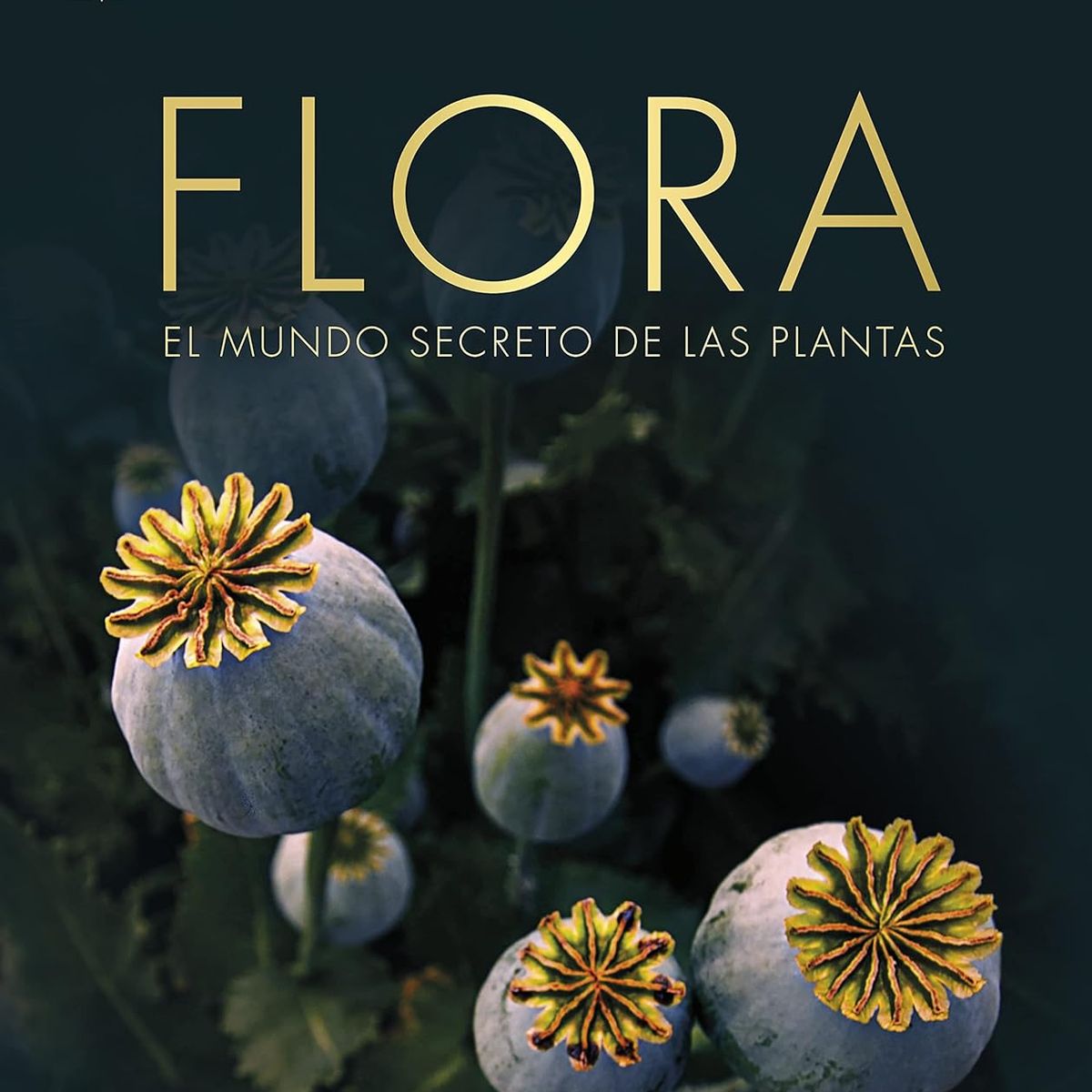 EDITORIAL DK - Libro Flora - DK