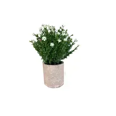 GENERICO - Planta Artificial Flores Maceta Decorativa Base Piedra Blanco