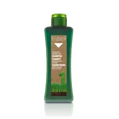 SALERM - Biokera shampoo especifico caspa 300ml