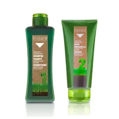 SALERM - Shampoo Y Mascarilla Especifico Caspa Profesional..-