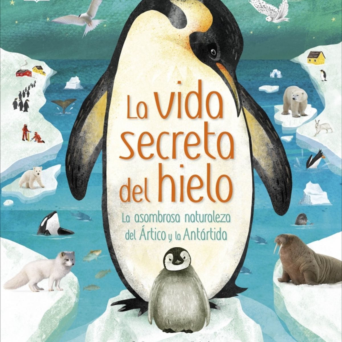 EDITORIAL DK - Libro La vida secreta del hielo - DK DK