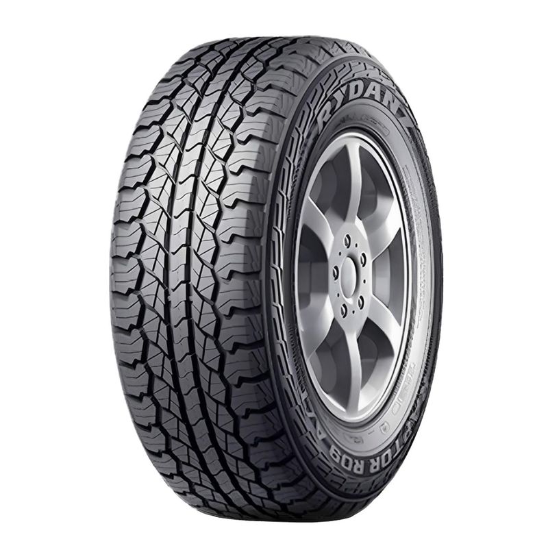 GENERICO - Neumático - 265/70R18 116H RAPTOR R09 Rydanz A/T CHN