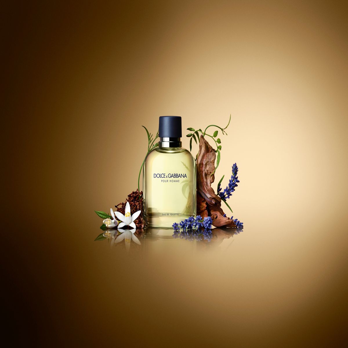 DOLCE&GABBANA - Dolce & Gabbana Pour Homme EDT 75ml