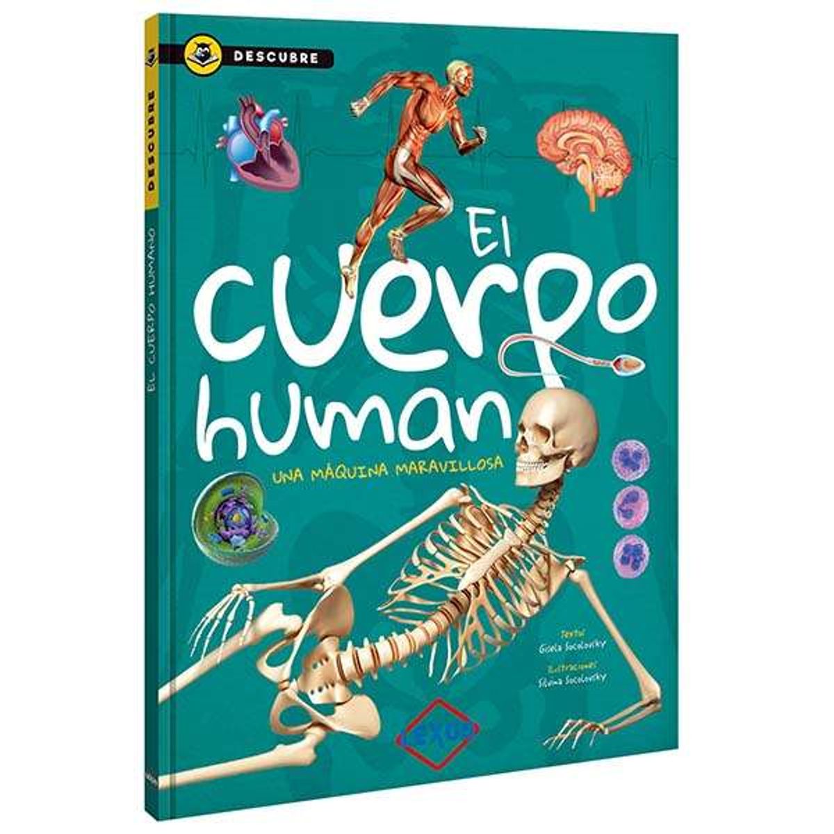 LEXUS - El Cuerpo Humano - Descubre - Lexus