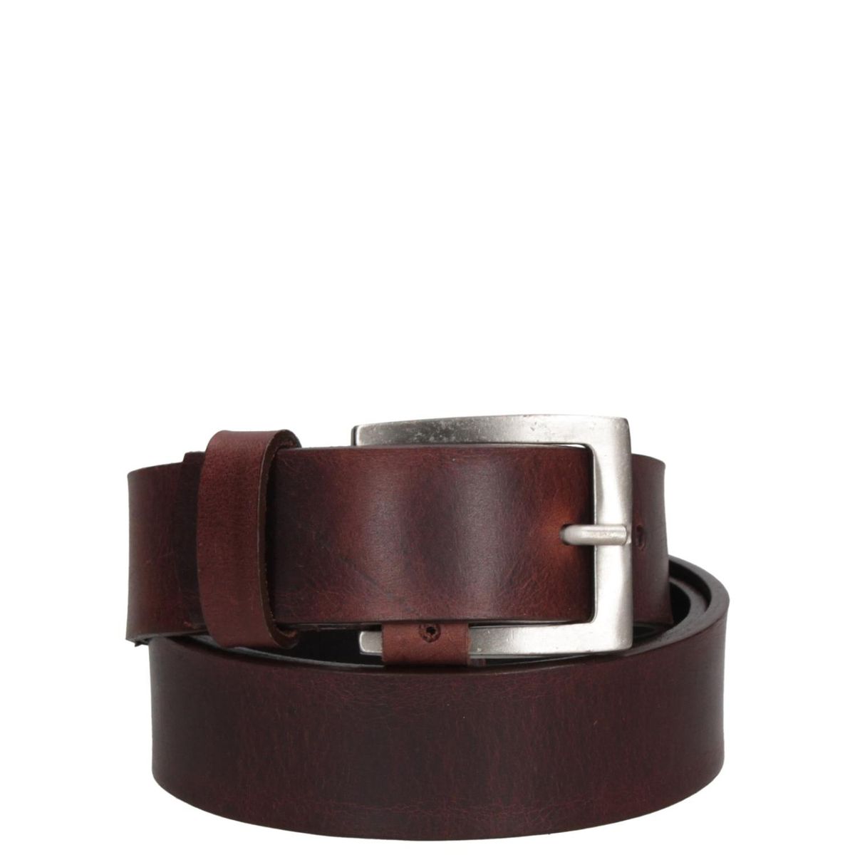 PANAMA JACK - Cinturón Cuero Hombre Chocolate Panama Jack