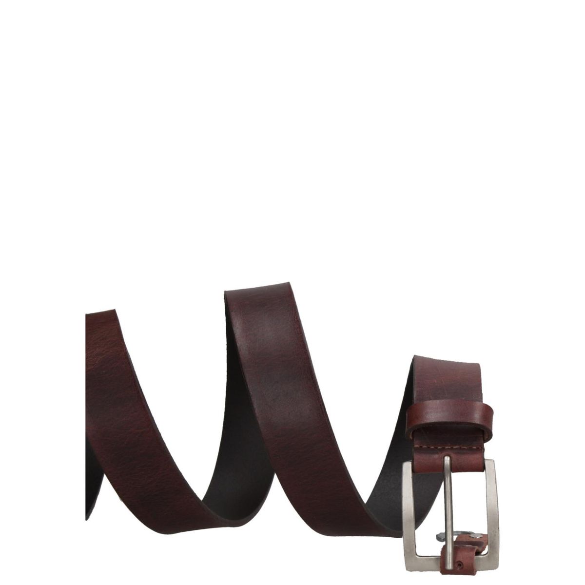 PANAMA JACK - Cinturón Cuero Hombre Chocolate Panama Jack