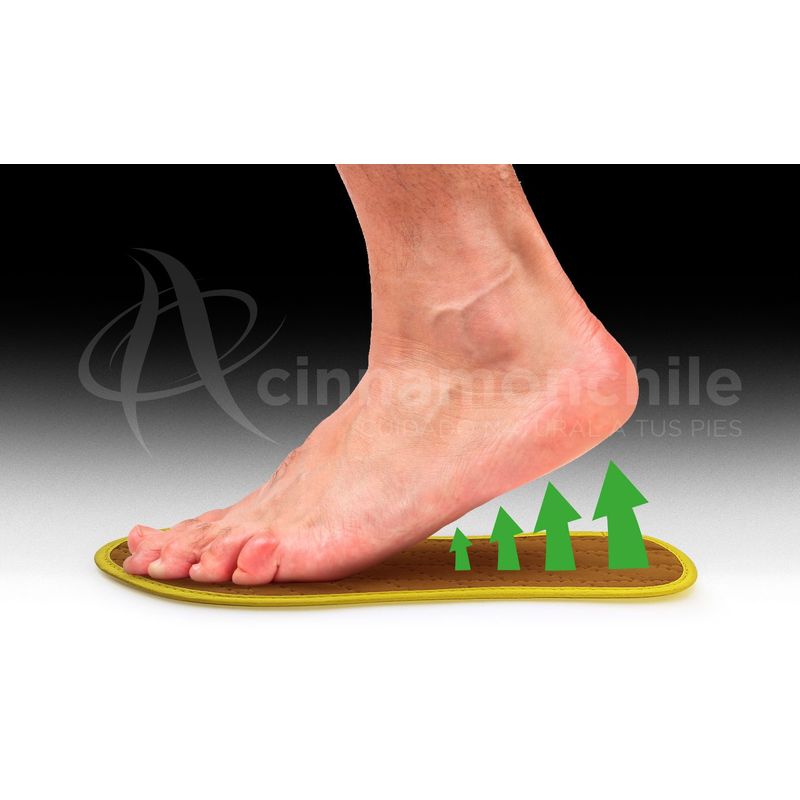 GENERICO - Plantillas de Canela Alivio instantáneo en los pies