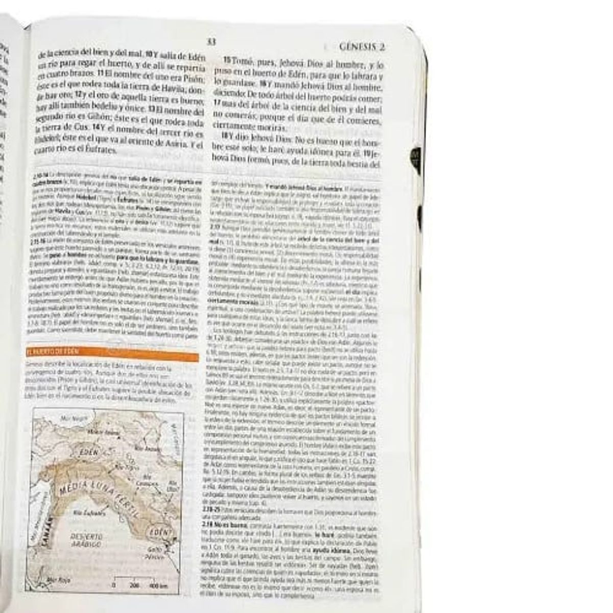 SOCIEDADES BIBLICAS UNIDAS - Biblia de Estudio Teológico RVR 1960 Índice mediana