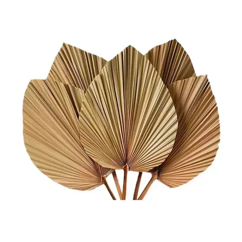 GENERICO - Hoja De Palma Seca Forma De Corazón Tropical Natural