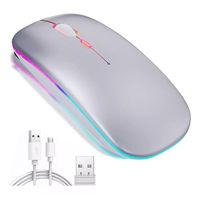 Mouse Inalámbrico Ergonomico Ratón Wireless Recargable Led
