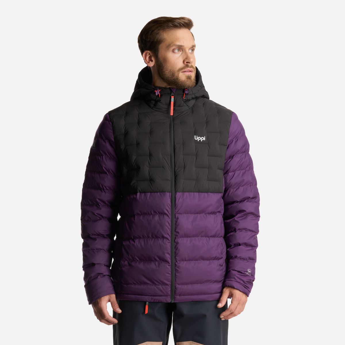 LIPPI - Chaqueta Hombre Bazpur EVO Down Hoody Jacket Morado Lippi