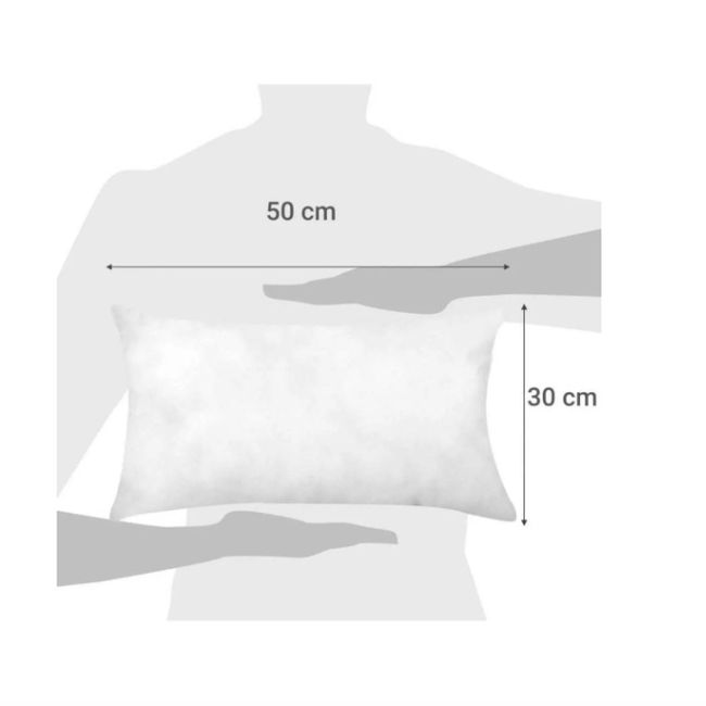 GENERICO - Pack 2 Unidades Relleno De Cojín 30x50