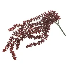 HERRERA MAISON - Planta HA3HX1555 Guinda