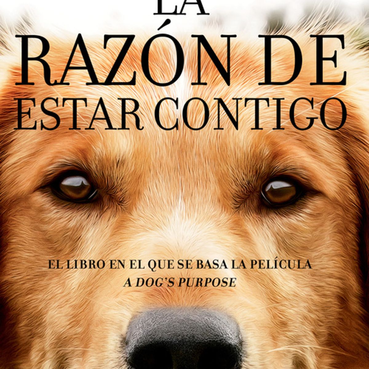 ROCA EDITORIAL - Libro La razón de estar contigo - W. Bruce Cameron