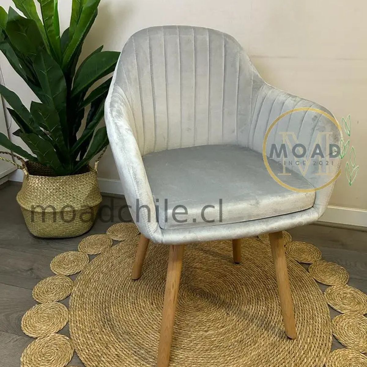 GENERICO - Pack 2 Sitial Diamond Gris