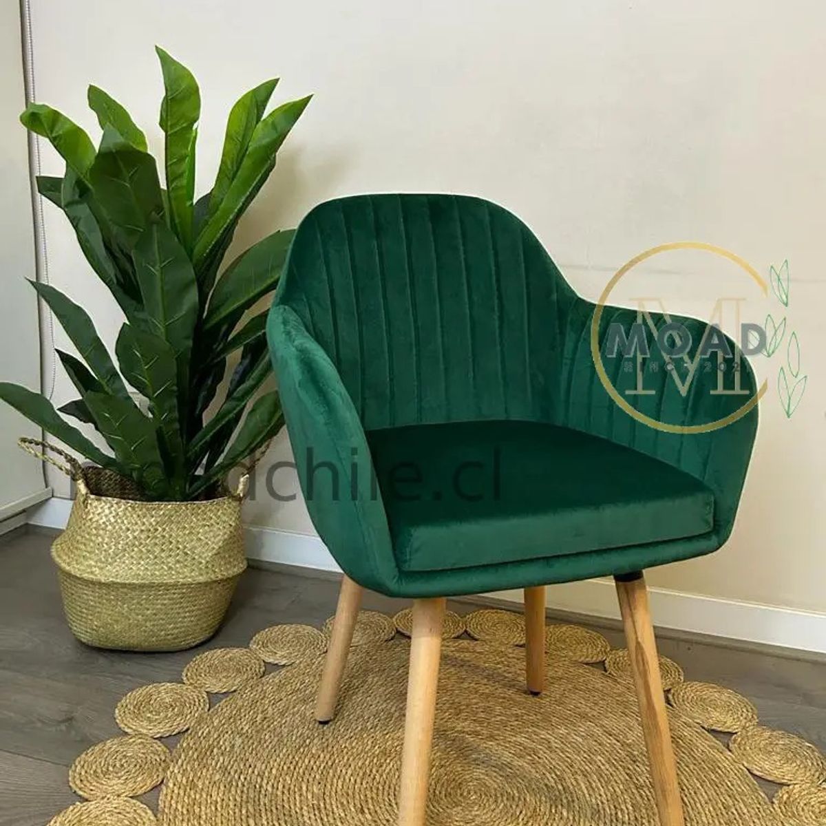 GENERICO - Pack 2 Sitial Diamond Verde