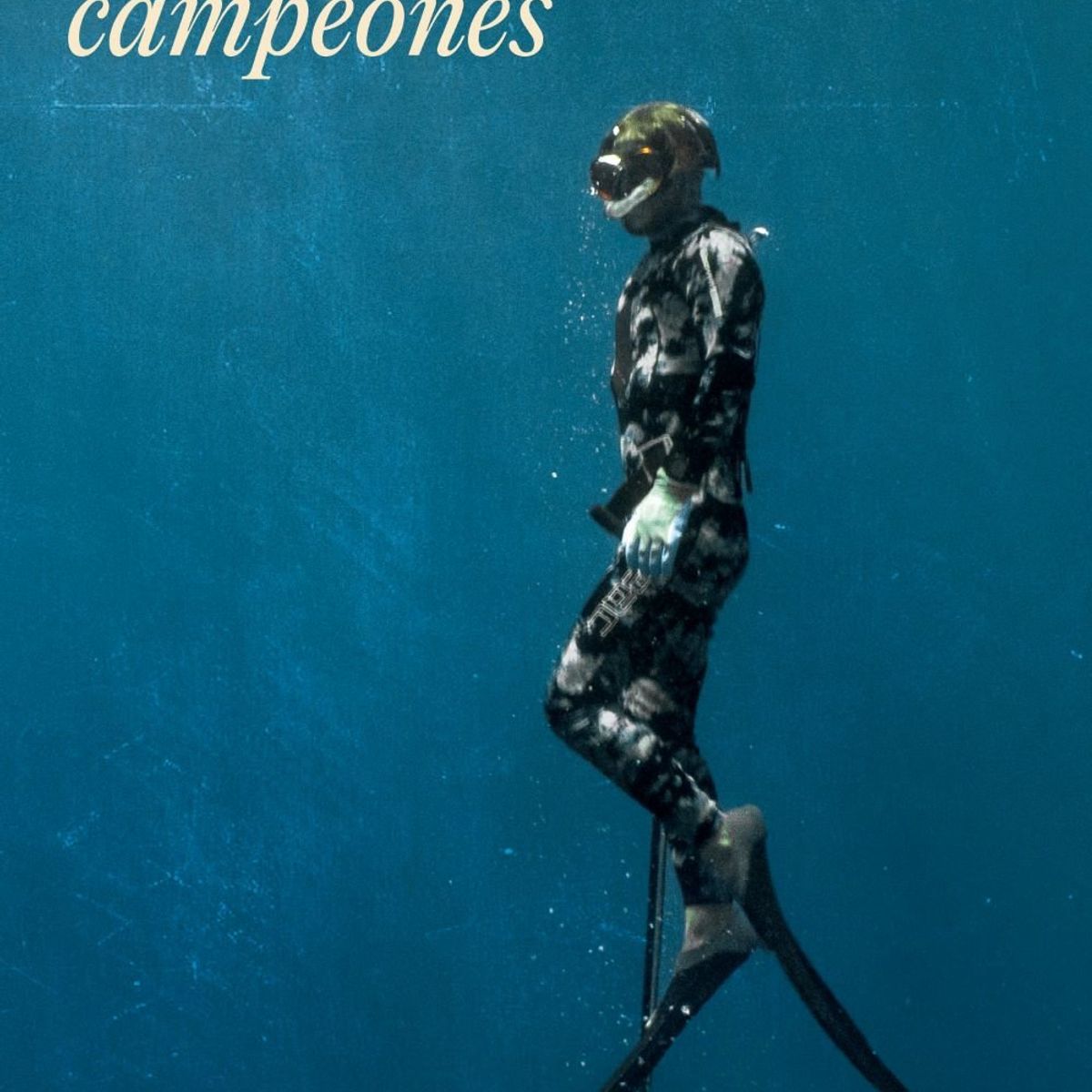 RANDOM HOUSE - Libro Tierra de campeones - Diego Zúñiga