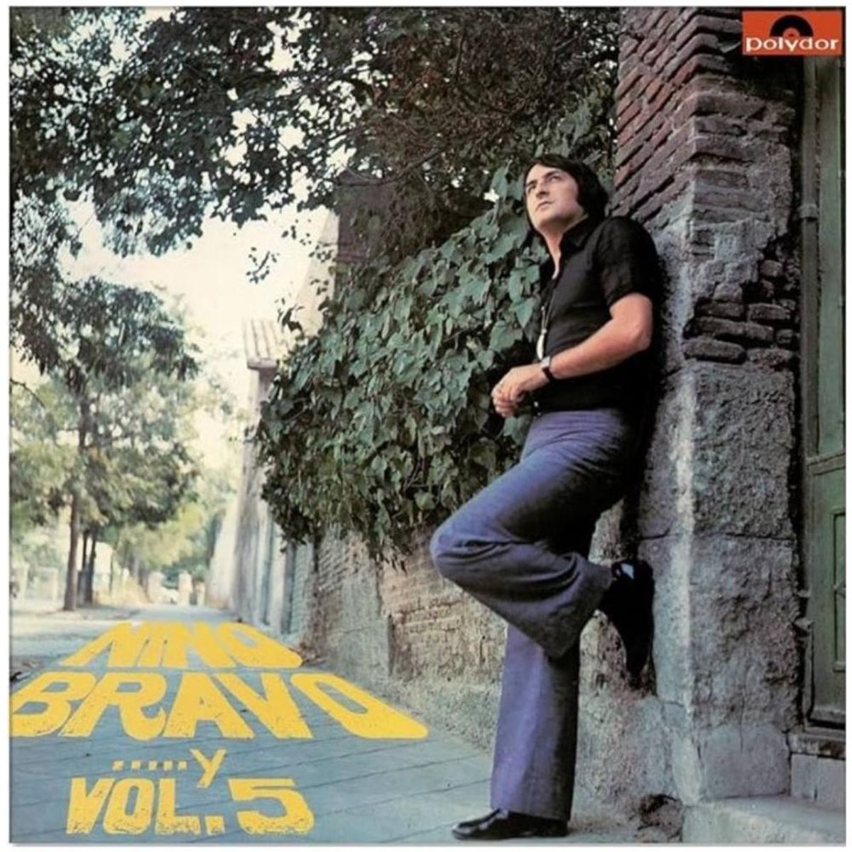 HITWAY MUSIC - NINO BRAVO - ...Y VOL.5 (GOLD VINYL) - VINILO HITWAY MUSIC