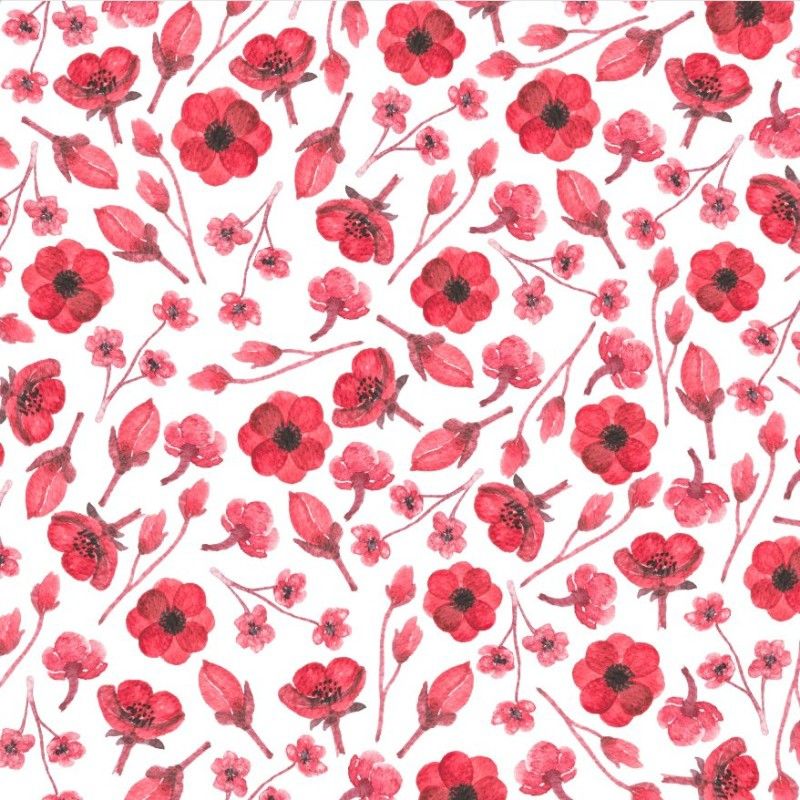 PASQUIN - Poster adhesivo XL Reposicionable Floral Amapolas rojas