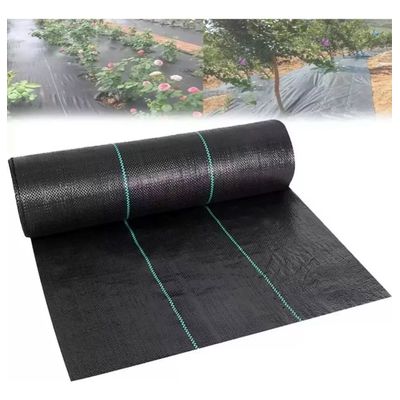 Imagen 2 del producto Malla Antimaleza Cubresuelo 2m De Ancho X 10m De Largo