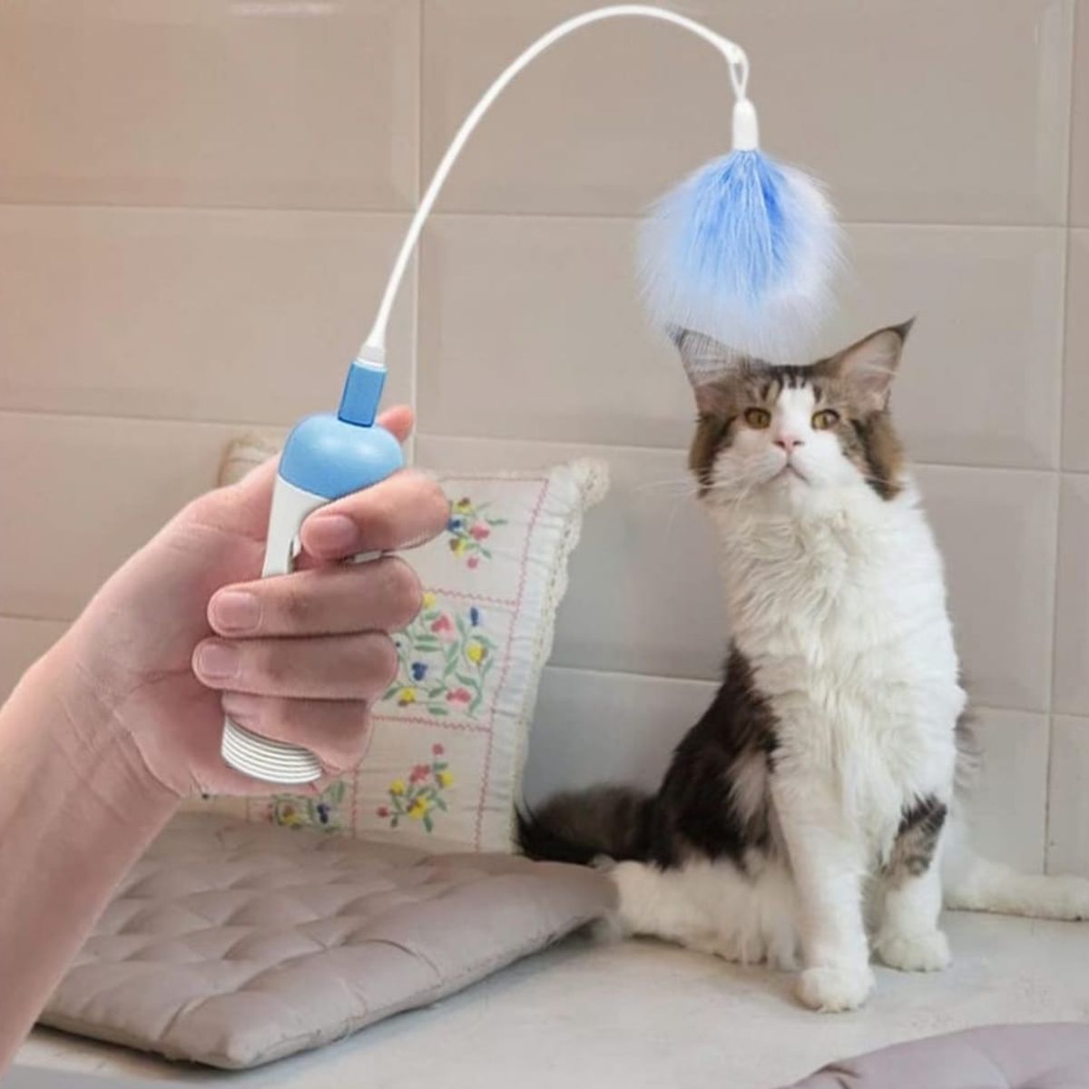 GENERICO - Juguete Para Gato Interactivo.