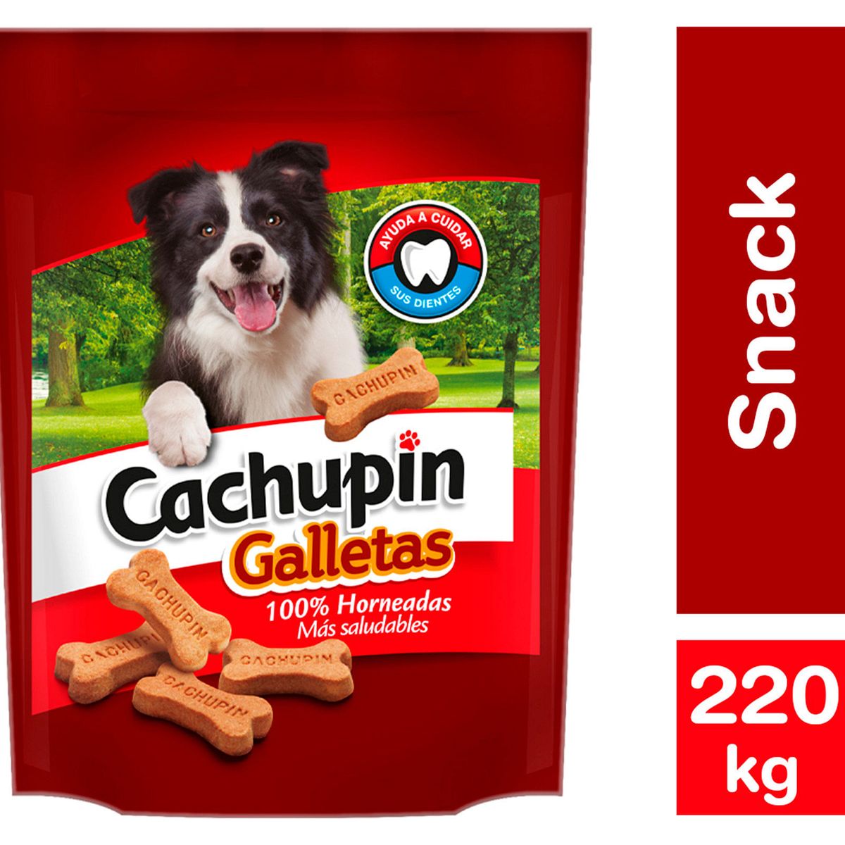 CAROZZI - Snack perro 220 g Galleta adulto Cachupin