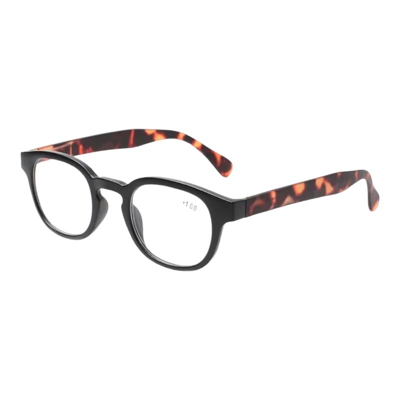 LORENATTO - Anteojos Lectura 2.5 presbicia Laptop engomado LORENATTO / lentes