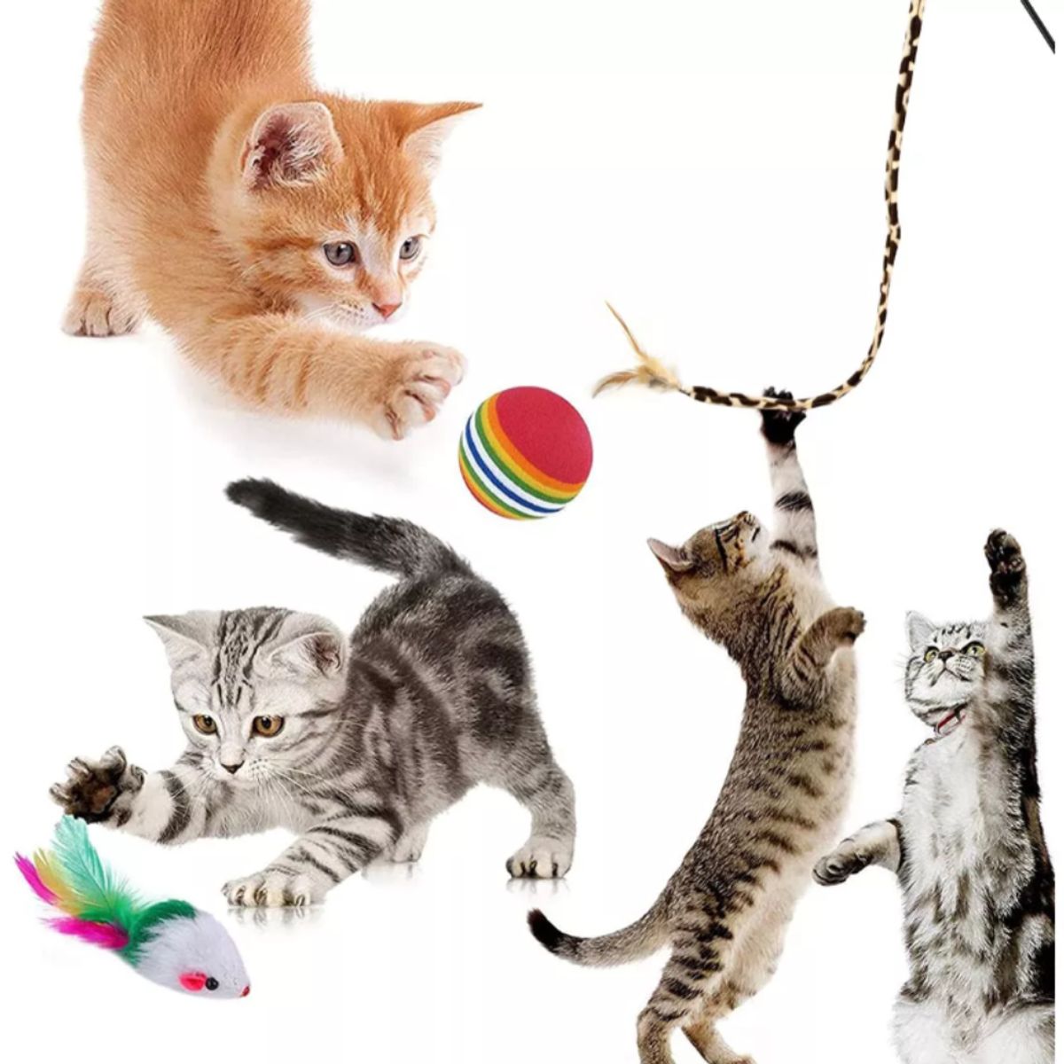 CRUSEC - Pack 22 Juguetes Para Gato Interactivo Con Accesorios
