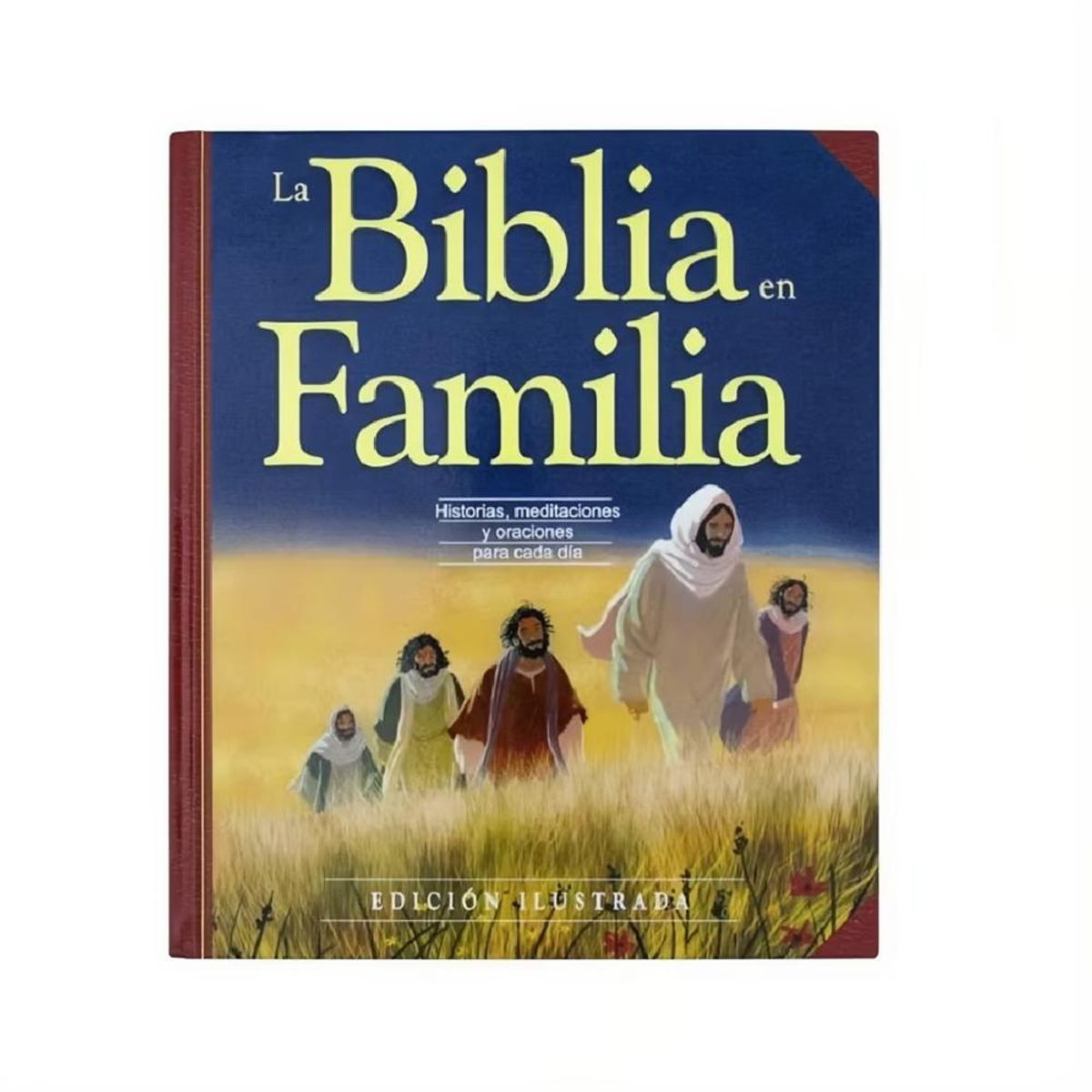 GENERICO - Biblia En Familia Ilustrada Para Niños PB-A7