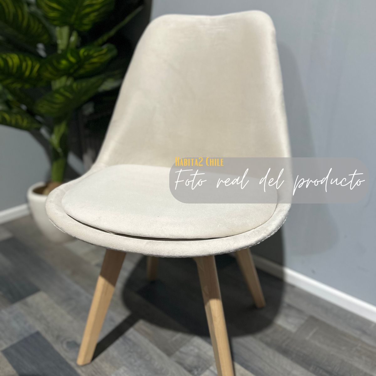 HABITA2 CHILE - Pack 4 silla comedor Tulip Terciopelo - Beige