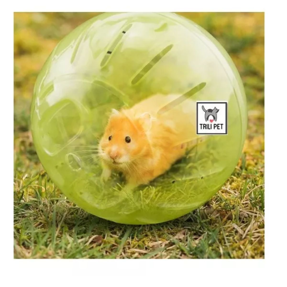 GENERICO - Pelota Bola Esfera Rueda Para Roedores-hamster 12cm
