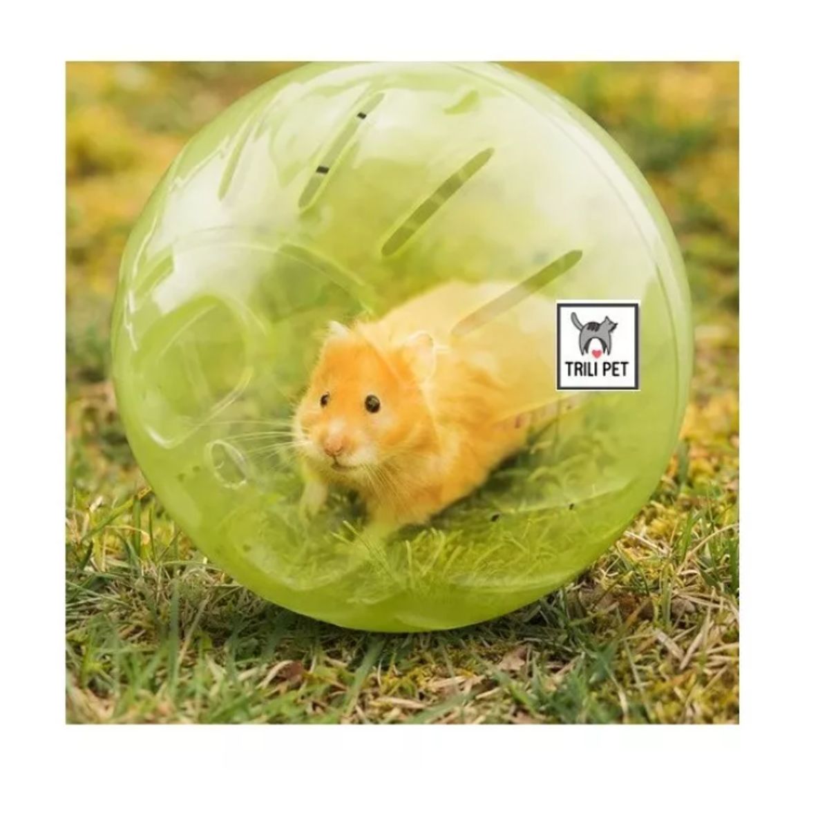 GENERICO - Pelota Bola Esfera Rueda Para Roedores-hamster 12cm
