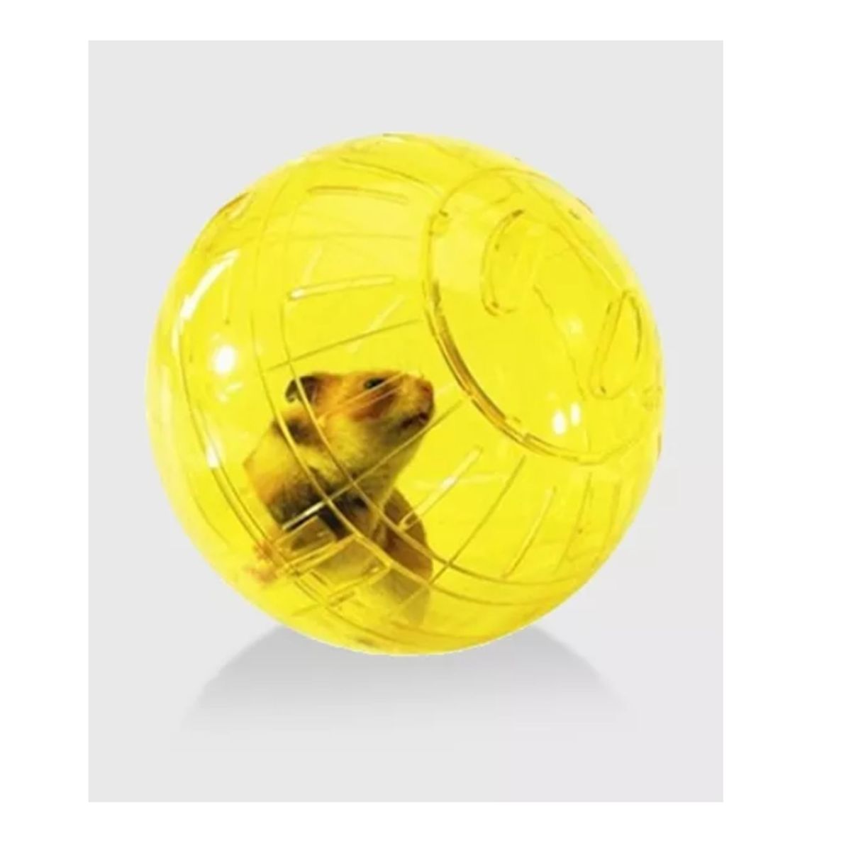 GENERICO - Bola Esfera Para Hamster Erizos 18cm Juguetes Roedores