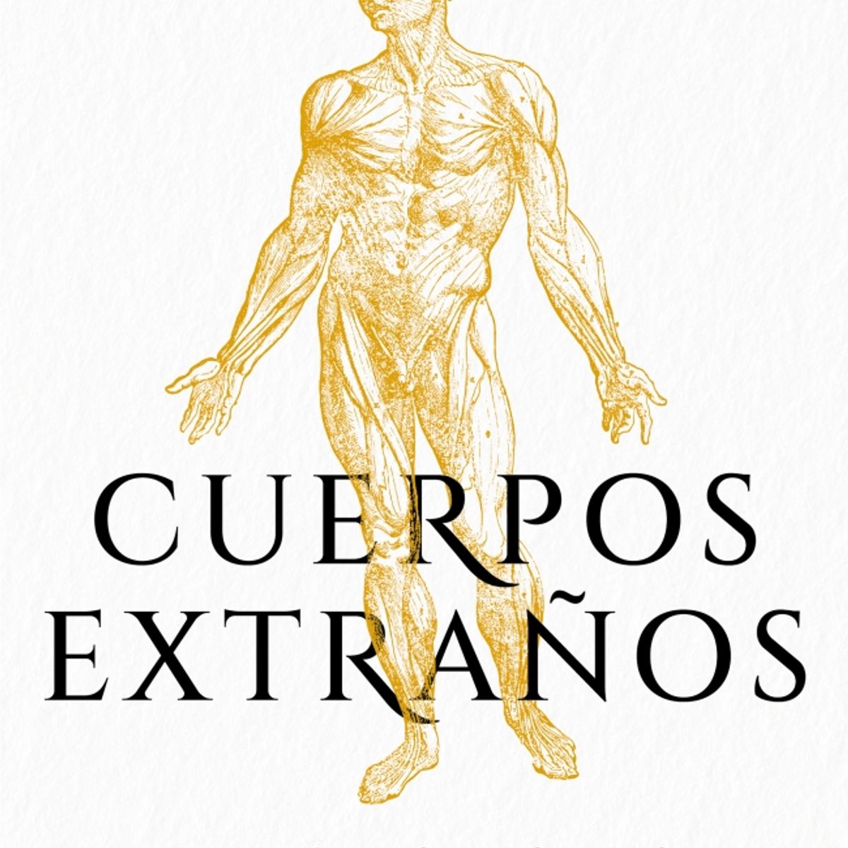 DEBATE - Libro Cuerpos extraños - Simon Schama
