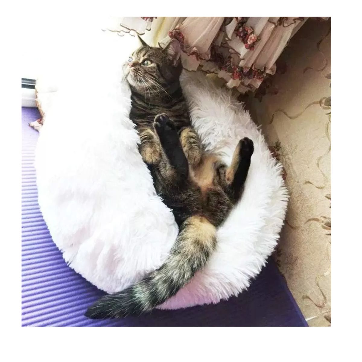 GENERICO - Cama Perro Antiestres Cama Suave Gato Cama Grande Mascotas