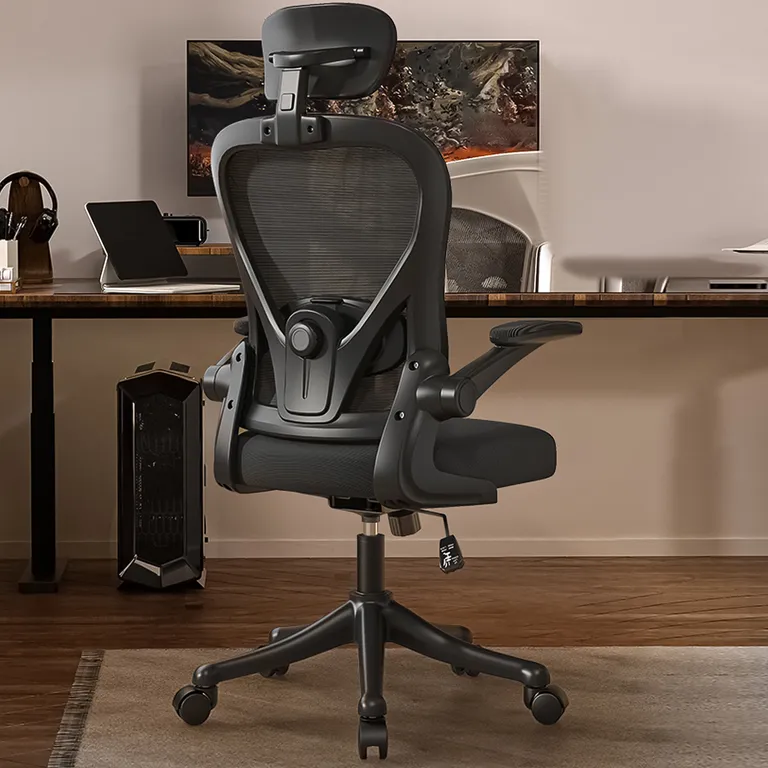 Silla Amia Ergonomica De Oficina Soporte Lumbar Ajustable Negro