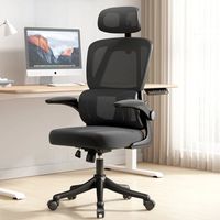 Silla Amia Ergonómica Silla De Escritorio Soporte Lumbar Elástico Giratoria Oficina