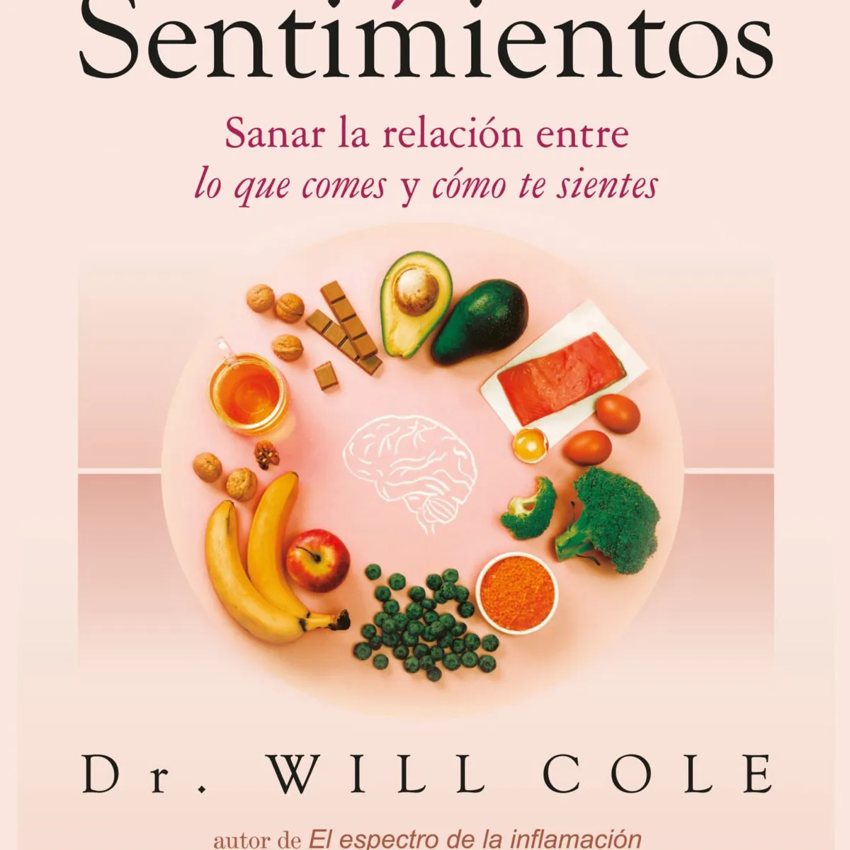 SIRIO EDITORIAL - Intestino Y Sentimientos