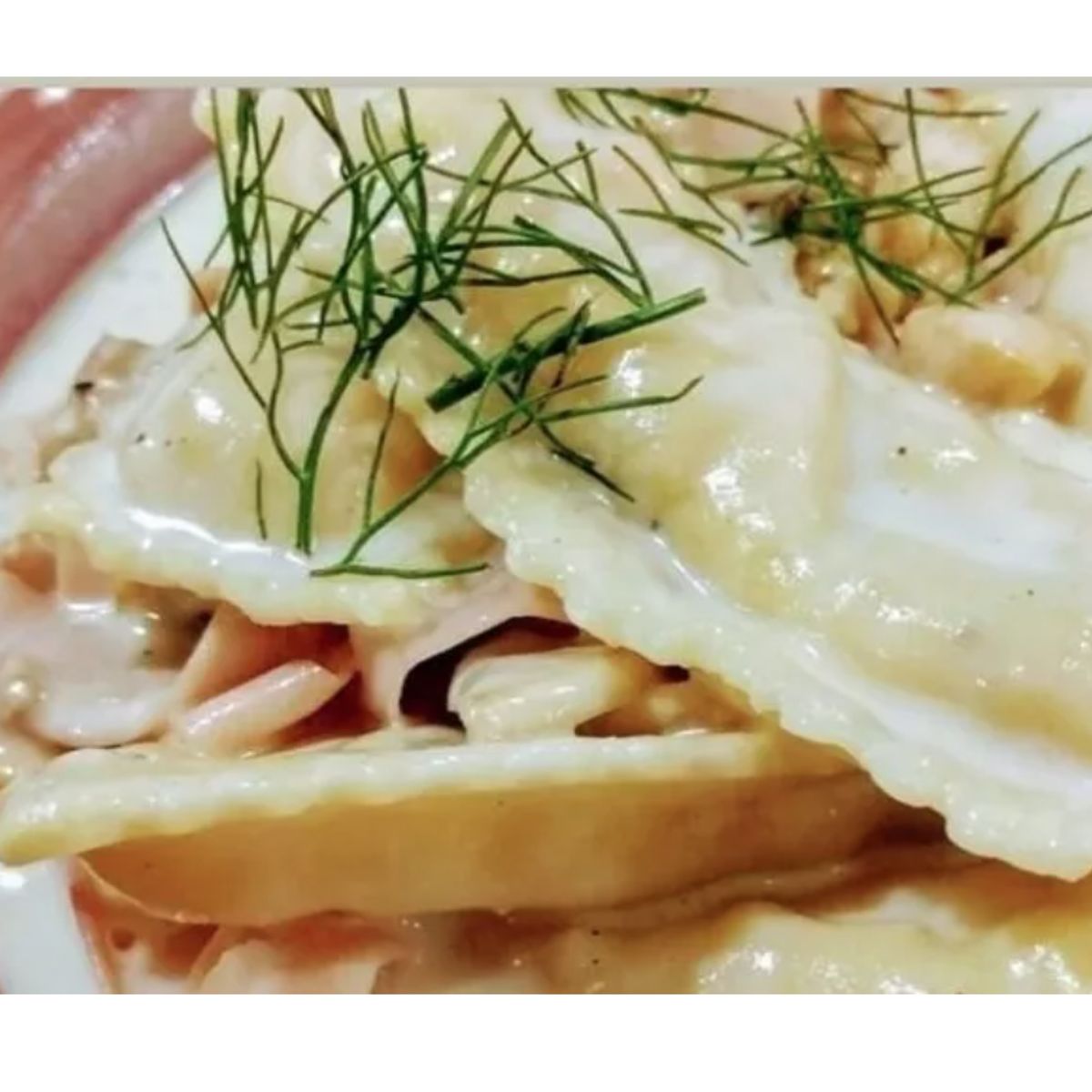 GENERICO - Molde Para Pastas Frescas Canelotti