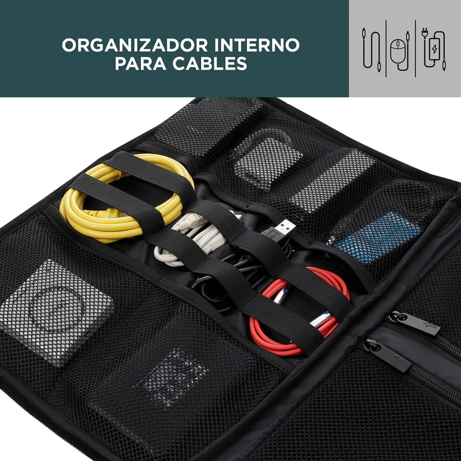 Caracterisiticas
